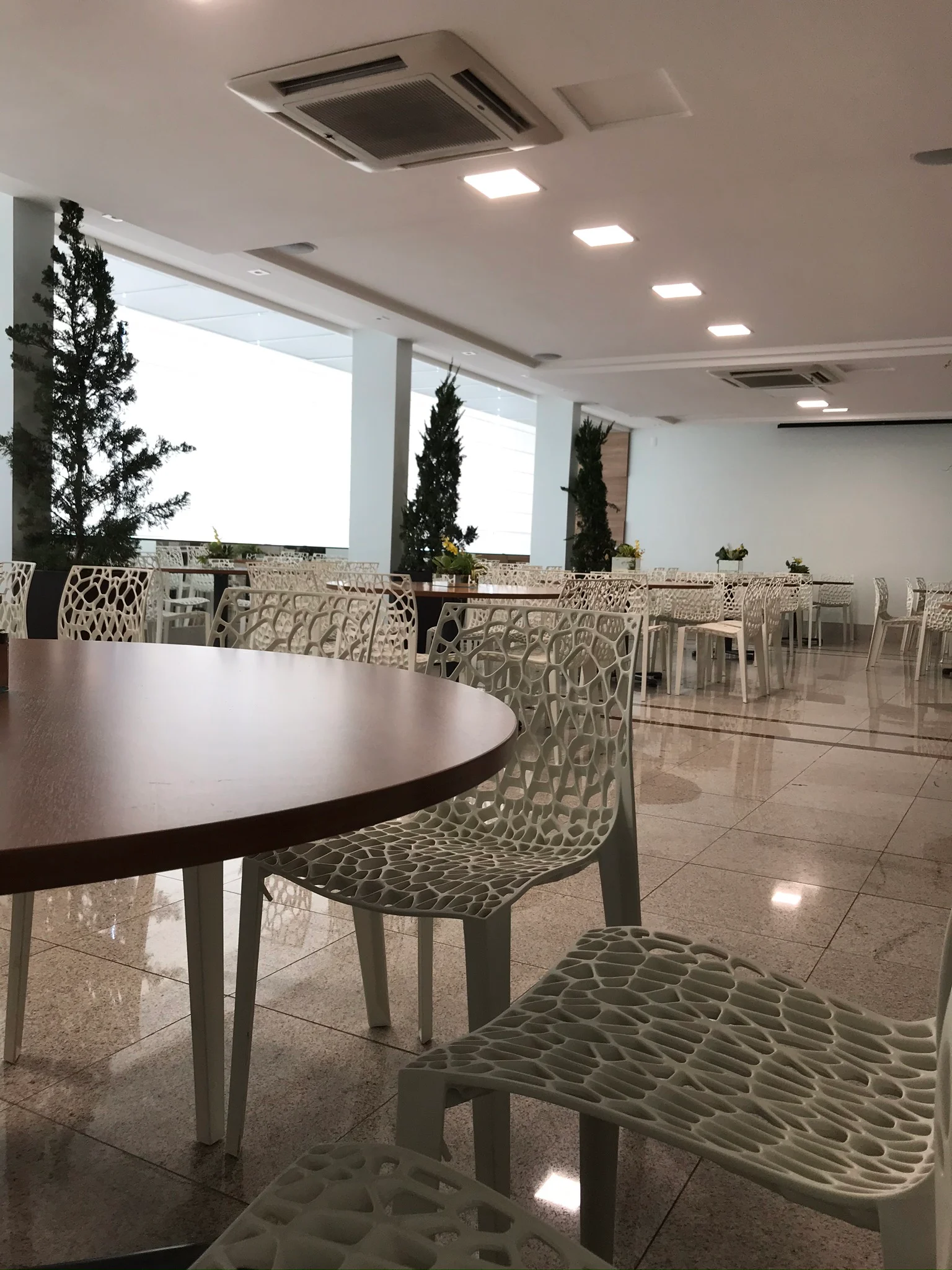 CDL — vista 6
